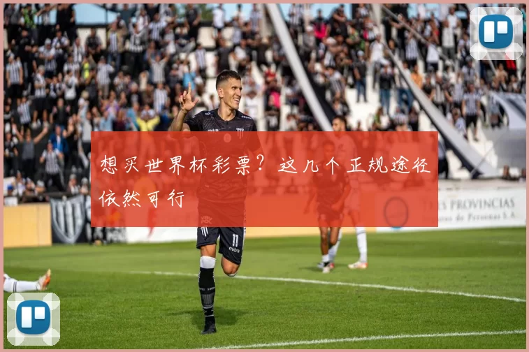 想买世界杯彩票？这几个正规途径依然可行