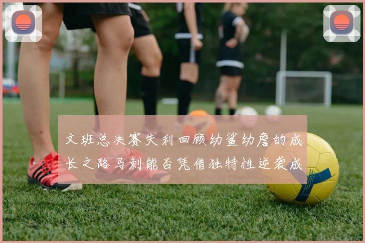 文班总决赛失利回顾幼鲨幼詹的成长之路马刺能否凭借独特性逆袭成功
