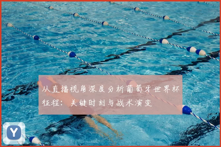 从直播视角深度分析葡萄牙世界杯征程：关键时刻与战术演变