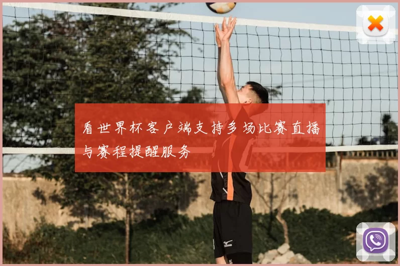 看世界杯客户端支持多场比赛直播与赛程提醒服务
