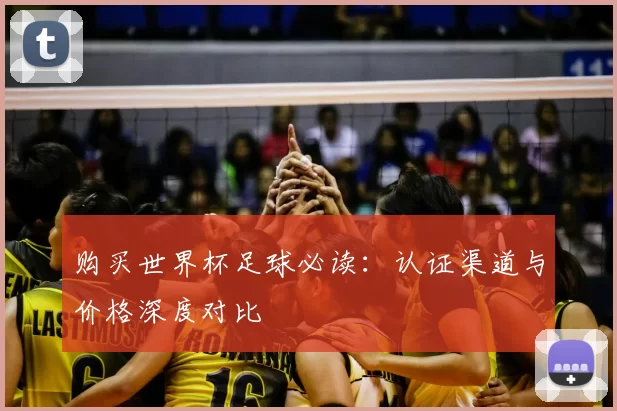 购买世界杯足球必读：认证渠道与价格深度对比