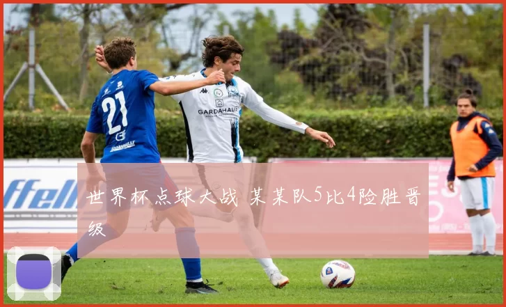 世界杯点球大战 某某队5比4险胜晋级