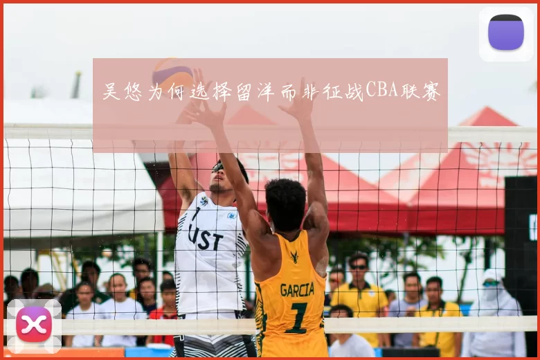 吴悠为何选择留洋而非征战CBA联赛