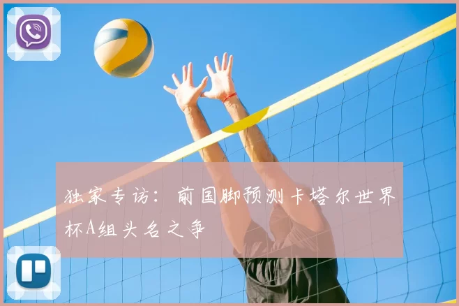 独家专访：前国脚预测卡塔尔世界杯A组头名之争
