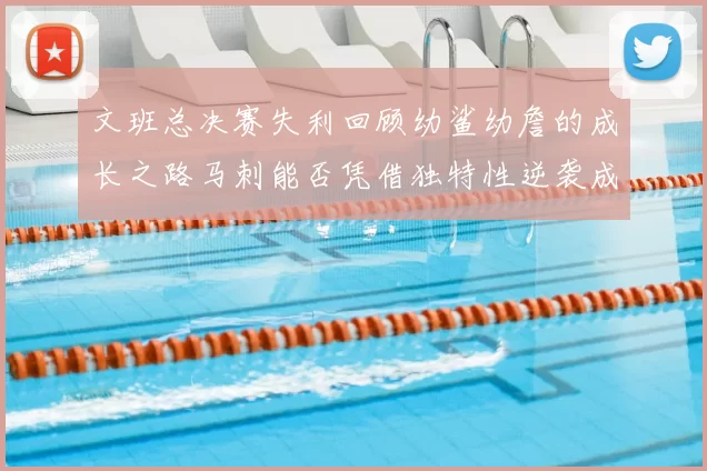 文班总决赛失利回顾幼鲨幼詹的成长之路马刺能否凭借独特性逆袭成功